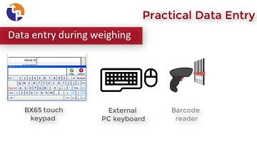 BAYKON BX65 TRUCK SCALE