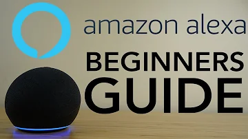 Dove finiscono i dati di Alexa?