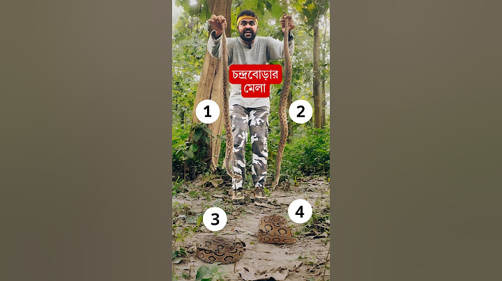 এতগুলো রাসেল ভাইপার একসাথে! সবথেকে ভয়ঙ্কর সাপের থেকে সাবধান! Russell's Viper Snake Bite Video