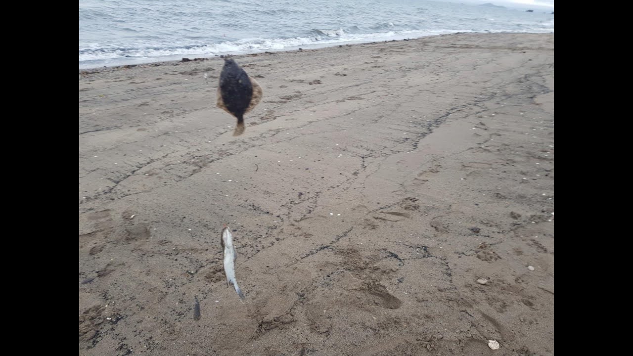 Fishing Kirkcaldy beach - the blank is beaten