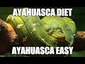 Ayahuasca Diet: A Holistic Approach to Healing and Integration