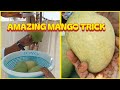 Pyaz Ke Sath Kacha Aam 2 Din Mein Pakao🥭🧅| Easy Mango Ripening Trick |Mango Ko Jaldi Pakane K Tarika
