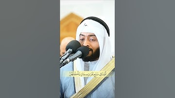 من أجمل ما قرأ الشيخ أحمد النفيس 😍 #سورة_يوسف