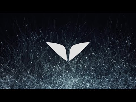 Relieve Stress With Deep Relaxation Music For Healing Body, Mind And Soul