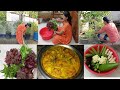 ডিপ ক্লিন+গাছের পরিচর্যা +রান্নাবান্না আর হচ্ছে শীত আসার আগেই ফুলকপি দিয়ে মজাদার রান্না#ilasvlogs