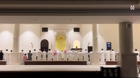 فجرية هادئة من سورة غافر ( حم , تنزيل الكتاب من الله العزيز العليم )
