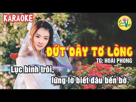 Đứt dây tơ lòng (karaoke) - Lý mỹ Hưng - Beat hay || TG: Hoài Phong