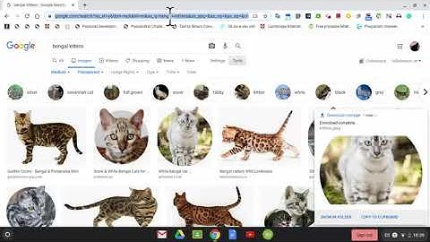 Adding and Image & audio file to Google Drive HTML Project Folder