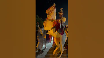 Tejal Bangyo Bind Godi Dance Dance Dj Song Newsong 