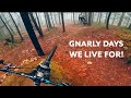 The gnarliest downhill  freeride runs around insta360 ace pro