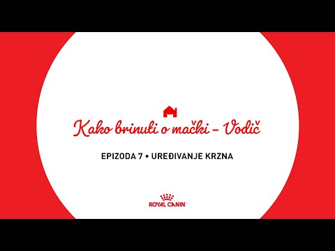 Video: Kako Se Brinuti O Krznu Vaše Mačke