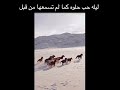 ليله حب حلوه كما لم تسمعها من قبل Raghd 2026