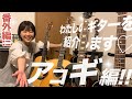 わたしのギターを紹介します “アコースティックギター"編!!【 #弓木英梨乃 ギター動画 番外編！】