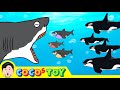 A baby great white shark became a villainㅣsharks &amp; whales for kidsㅣCoCosToy