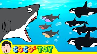 A baby great white shark became a villainㅣsharks & whales for kidsㅣCoCosToy