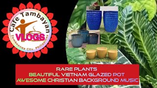Rare Plants ll Beautiful Vietnam  Glazed Pot ll Awesome Christian Background Music