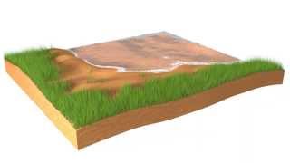 Windy Beach, 3ds Max