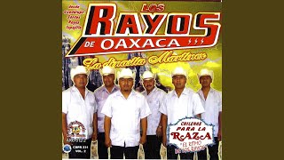 Video thumbnail of "Los Rayos de Oaxaca - Chilena 4"