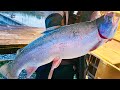 広大な貯水池に潜む怪物には極上の脂が乗っている