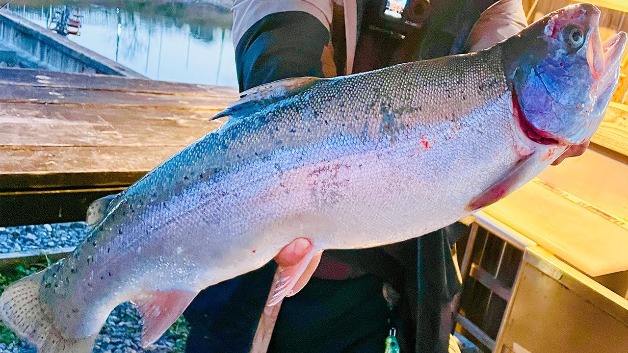 広大な貯水池に潜む怪物には極上の脂が乗っている