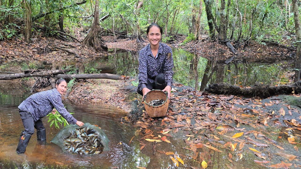 ลงน้ำใส่ตุ้ม!! ได้ปลาได้กุ้งมีแต่ตัวสวยๆ!! ดีใจแล้วครับฝนตก 27 ก.พ 69 ครับผม