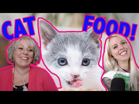 Video: Voedsel voor een kitten kiezen 11 stappen (met afbeeldingen) Antwoorden op al uw "Hoe?"