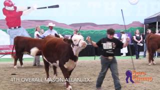 Junior National Hereford Expo Junior Showmanship