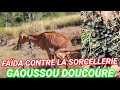 GAOUSSOU DOUCOURE FAÏDA CONTRE LA SORCELLERIE
