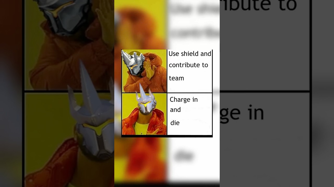The Life Of A Reinhardt Player