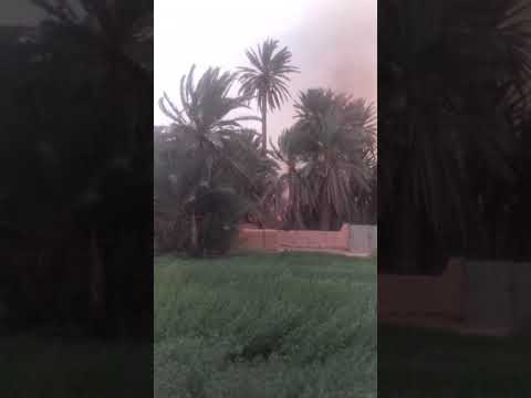 حريق يلتهم واحة تغمرت اقليم كلميم