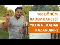 100 DÖNÜM BADEM SİZE YILDA KAÇ PARA KAZANDIRIR? #badem #gelir #para #badem bahçesi