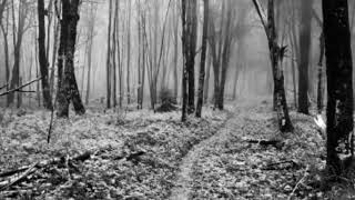 trail (Soren's narration)