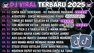DJ TIKTOK TERBARU 2025🎵DJ CINTA DARI SEBERANG - KU PANDANG2🎵DJ AISHITERU - SIKSA MENANGGUNG RINDU