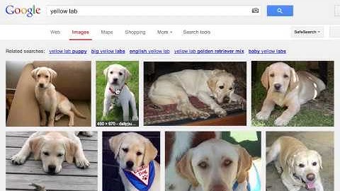 Google Image Search - Visually Similar Images