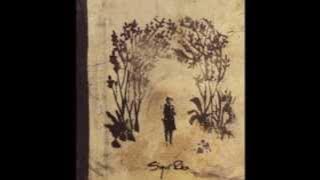 Sigur Rós - Hoppipolla   Meo Blodnasir (High Quality)