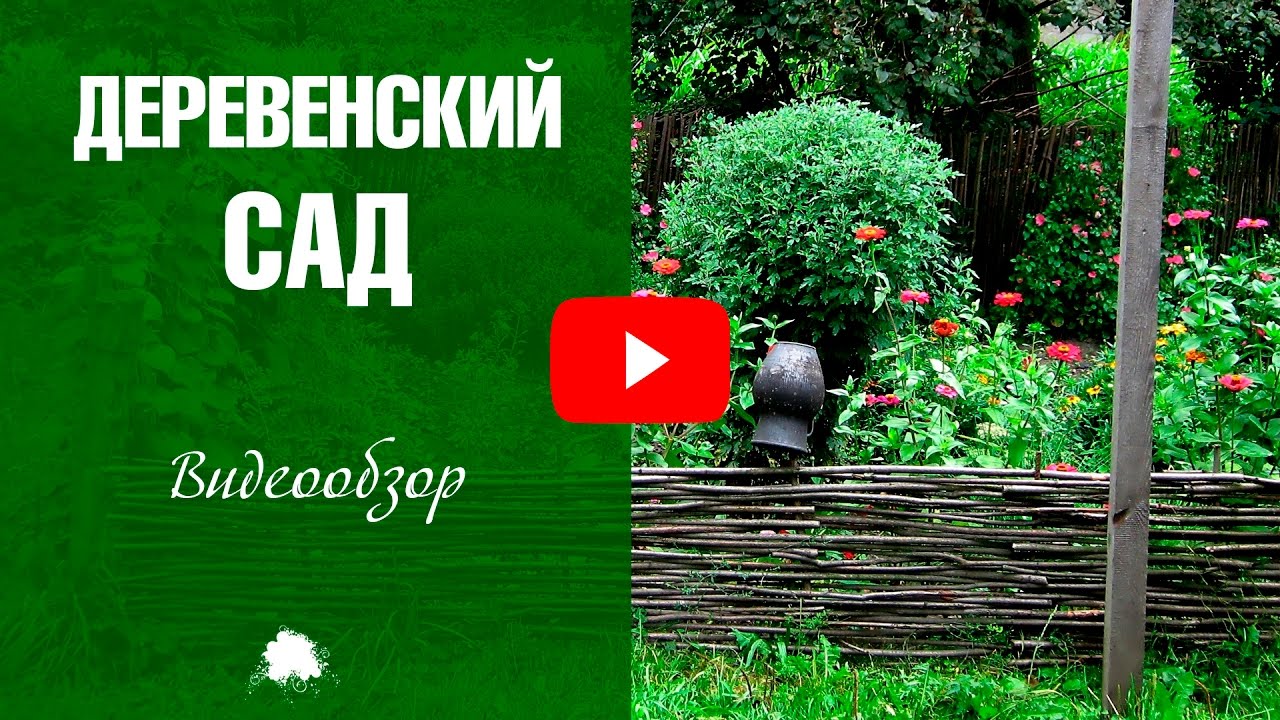 Сад в деревенском стиле ✅ Ландшафтный дизайн с HitsadTV