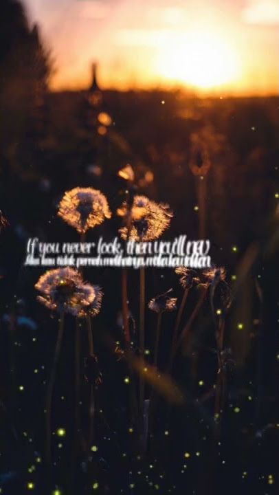 Eyes Closed - William Black ft. Runn |Lirik Terjemahan Story WA 30 Detik| Short #shorts