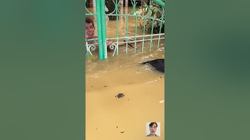 SAU BÃO YAGI MIỀN BẮC LŨ LỤT nước ngập lên cả người Thương bà con quá bà con ơi #shorts