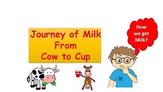 Journey of Milk from Cow to Cup ( General knowledge for Pre-primary to Grade -1)