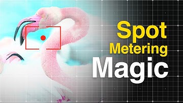 Waarom spotmeting uw fotografie SNEL zal verbeteren