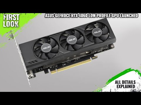 The Best $99 Low Profile GPU You Can Buy Right Now! Hands On