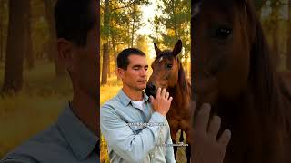 I Saw A Nevada Mustang Save A Prison Inmate In 2026