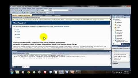 Web Services C# y Java