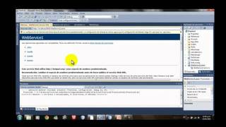 Web Services C# y Java