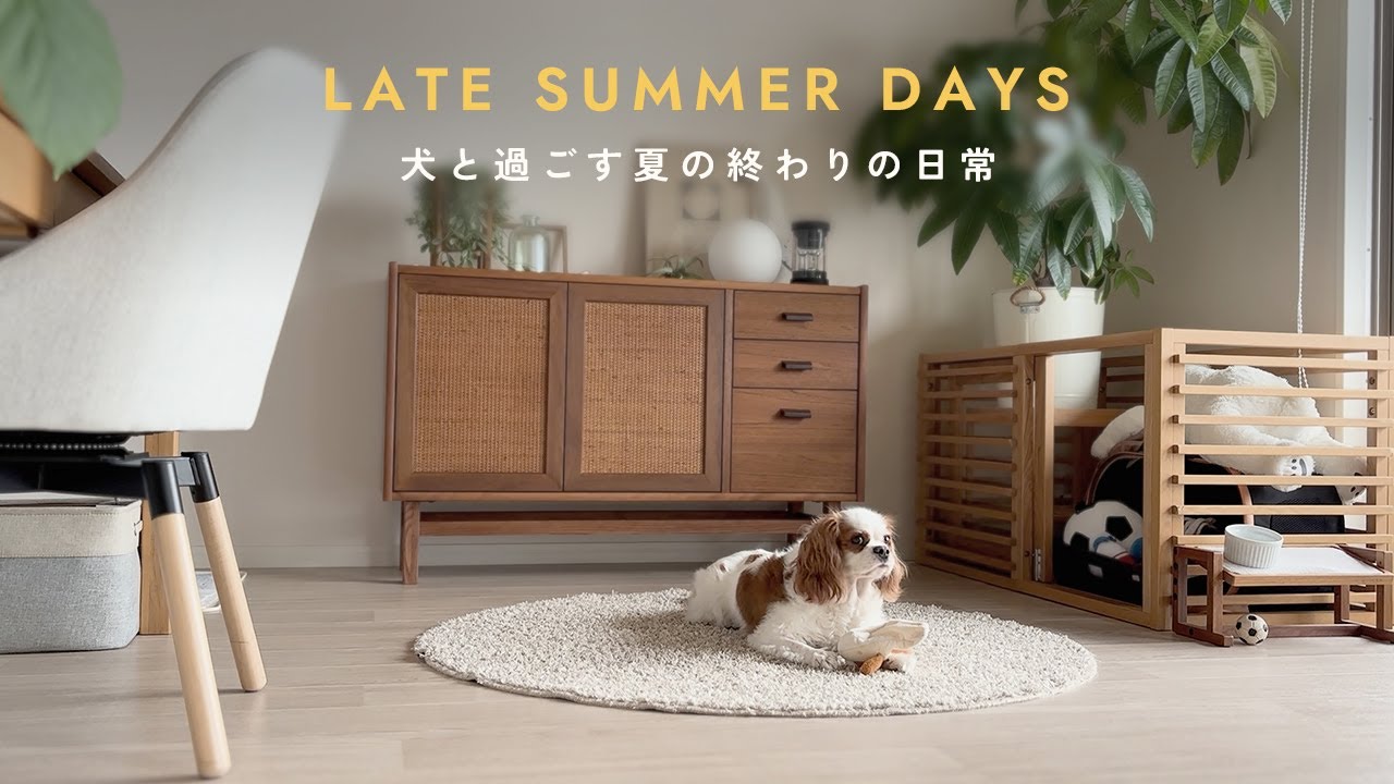 День позднего лета с моей собакой | Собака, которая любит персики 🍑