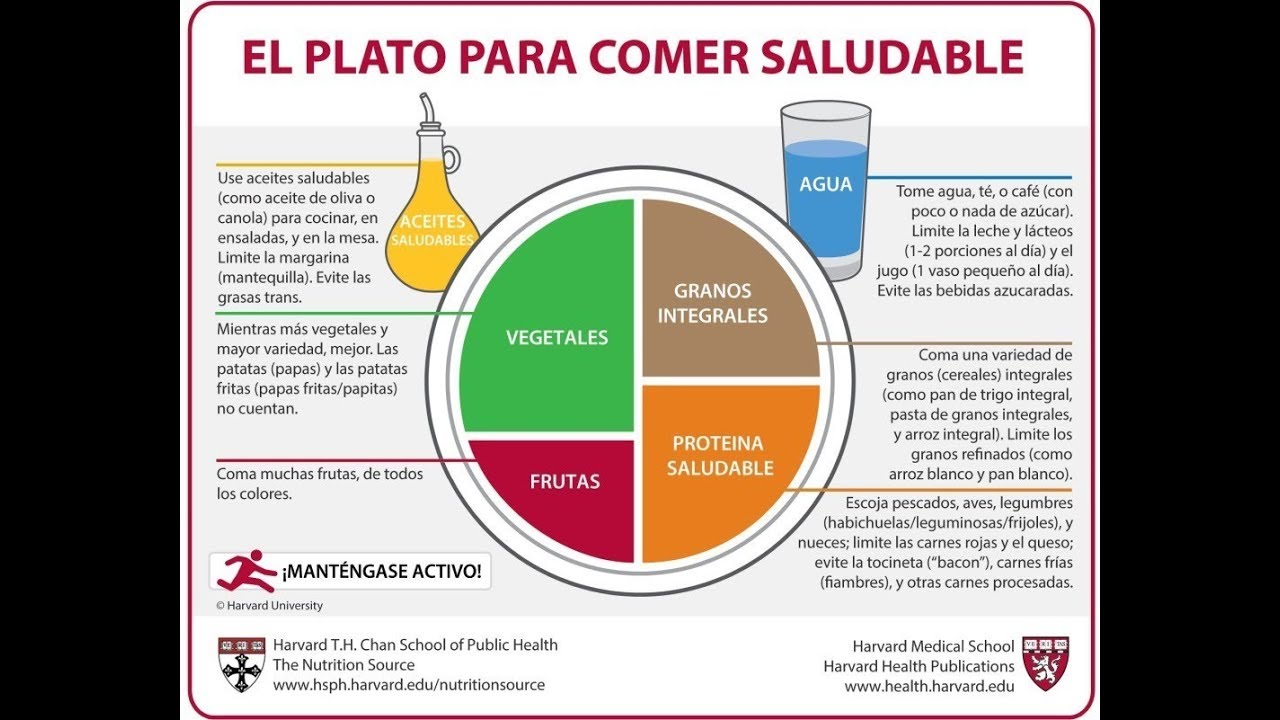 Consejos para una buena dieta sana