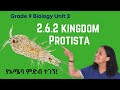 Grade 9 Biology Unit 2 2 6 2 Kingdom Protista Saquama ሳቋማ