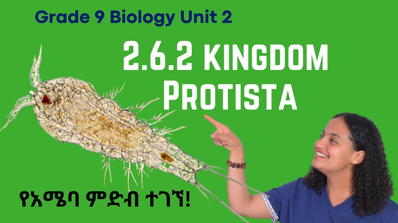 Grade 9 Biology Unit 2: 2.6.2 Kingdom Protista  Saquama | ሳቋማ
