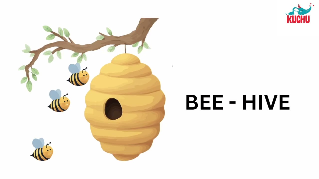 ANIMALS & THEIR HOMES 🐾 | Where Do Animals Live? | Kids Learning | KUCHU