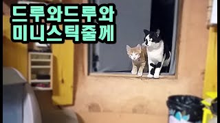 드루와 드루와...황토방에서 미니스틱을....ㅋ